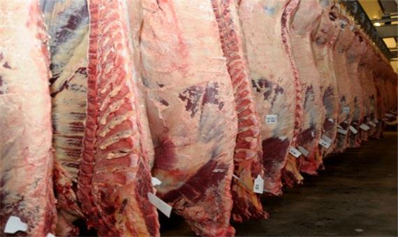 عرضه گوشت گرم به قیمت 33 هزار تومان در قم