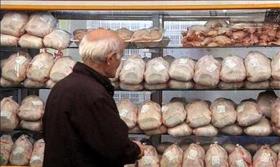 قیمت مرغ با ورود 250 تن مرغ منجمد به قم کاهش می یابد