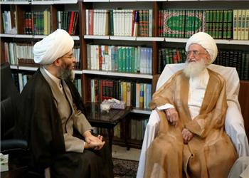 آیتالله نوری همدانی: در اجتماعات مردمی تنها باید صدای وحدت شنیده شود